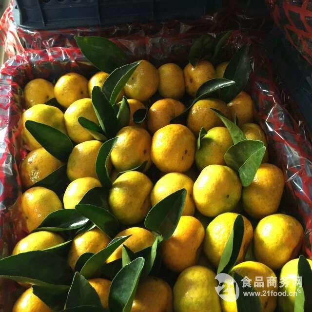 东莞下桥水果批发市场--代销柑橘_中国石门县