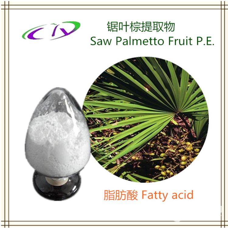 锯叶棕提取物锯棕榈果提取物