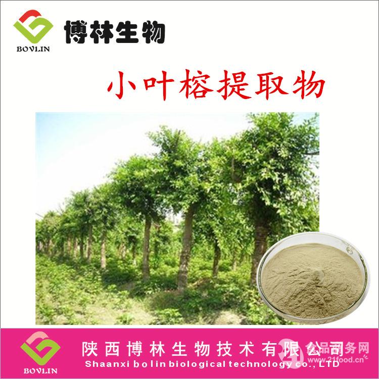 小叶榕提取物 小叶榕浸膏 80.00 /公斤