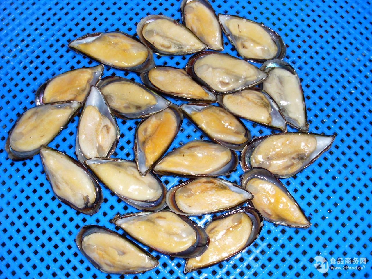 海虹 英文名Mussel_中国舟山_冷冻水产品