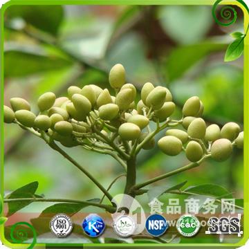 印楝籽提取物 neem extract