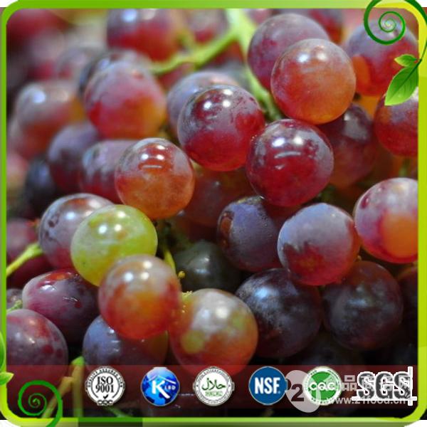 葡萄皮提取物grapeskinextract