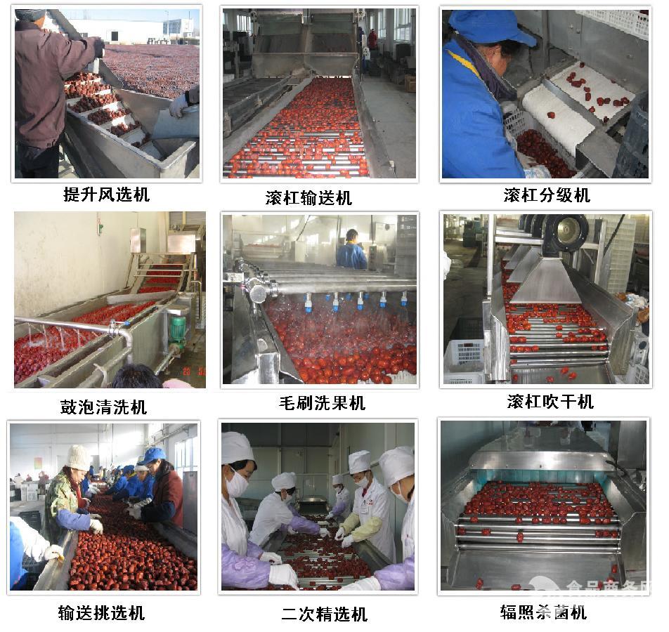 红枣加工生产线非标定做
