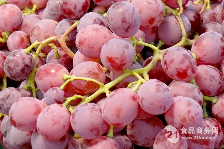 红提葡萄