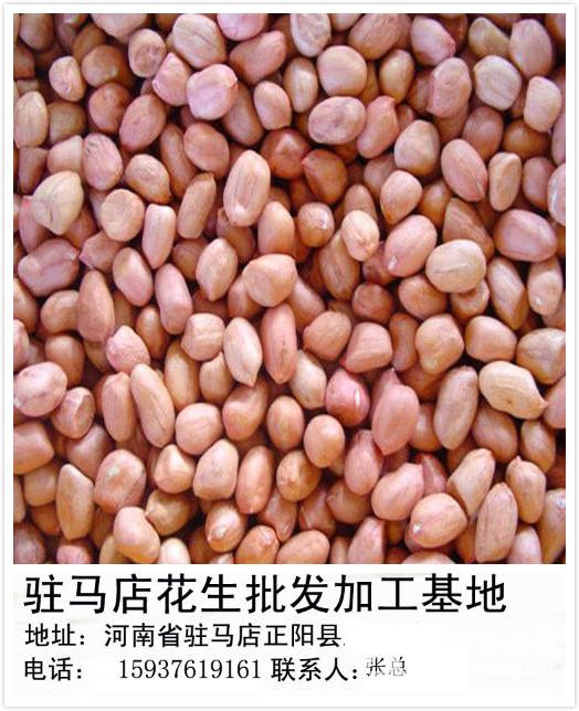 花生米批发