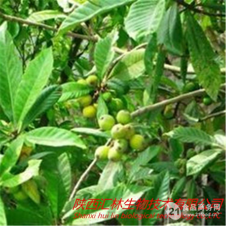 优质菜菔子提取物