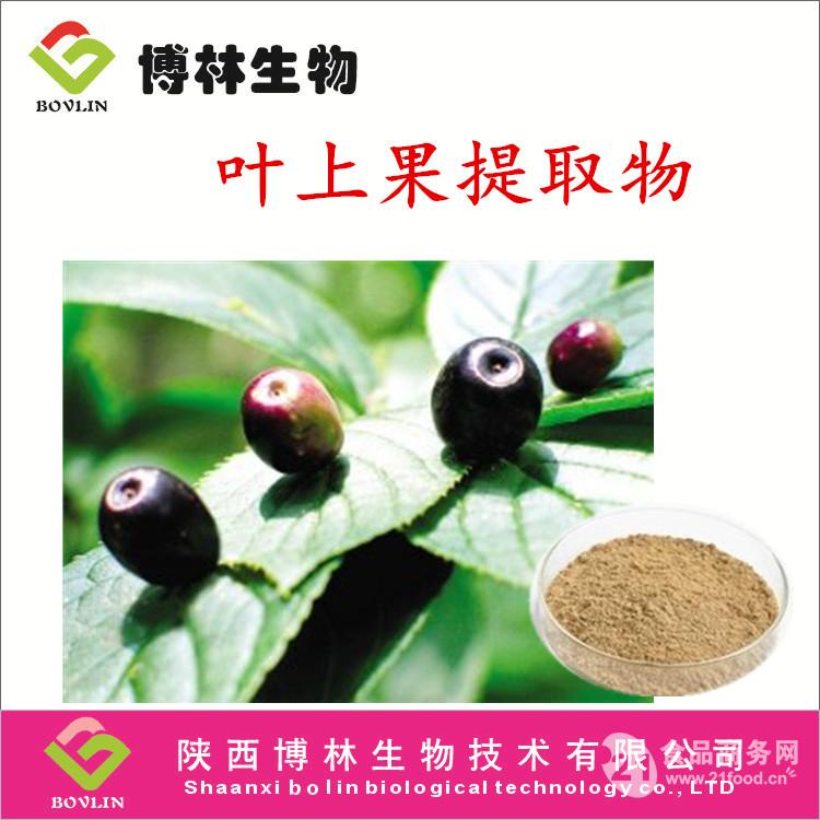 叶上果提取物 椴树花提取物10:1 椴树花粉 价格$70元/公斤