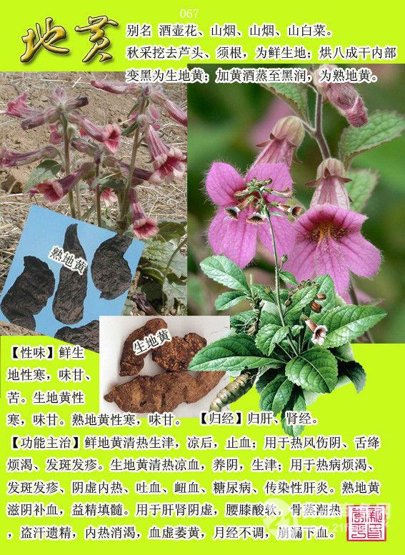酒壶花提取物