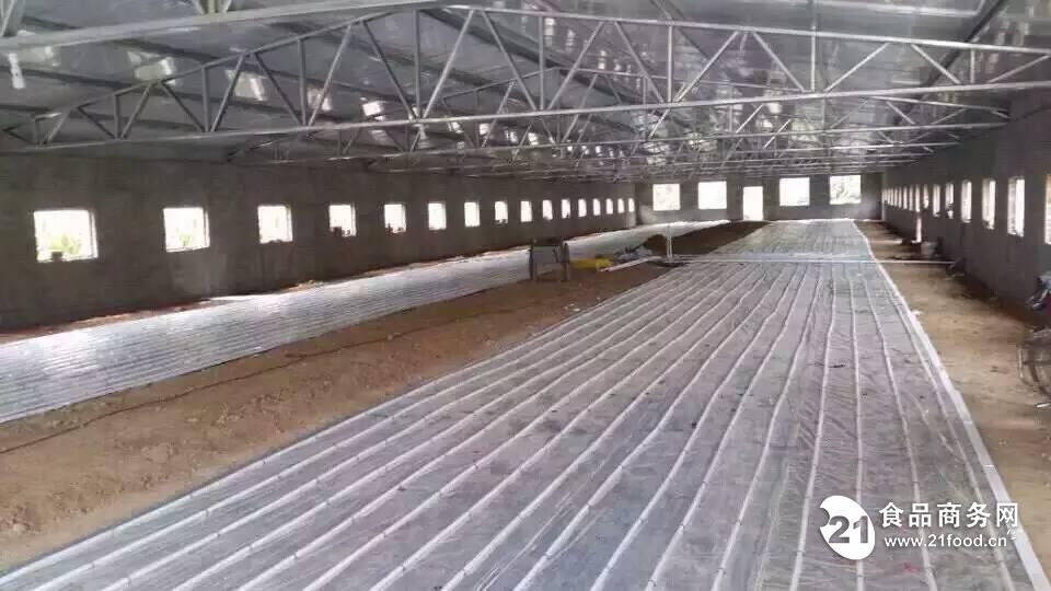 新型猪舍地暖锅炉厂