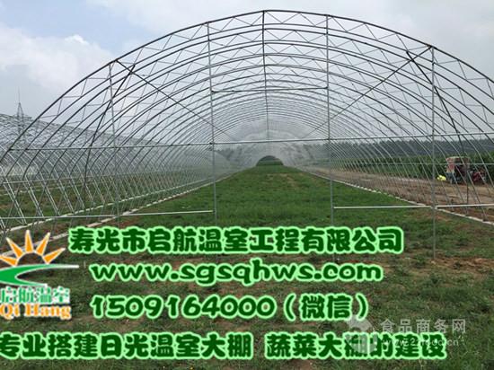 大棚建设全钢架蔬菜拱棚