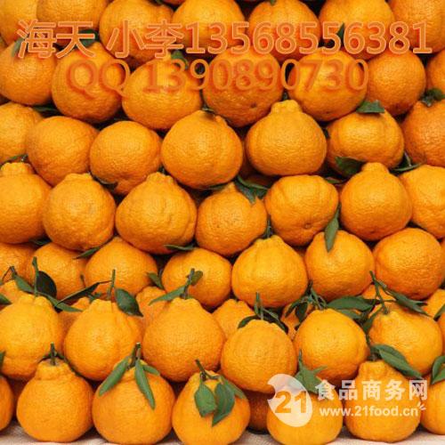 四川成都不知火柑橘苗,其他各种果树苗批发价格