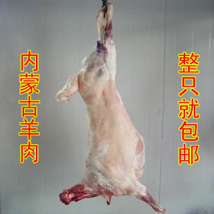 味瑞/四子王旗/2017精品羊胴体/24元/斤