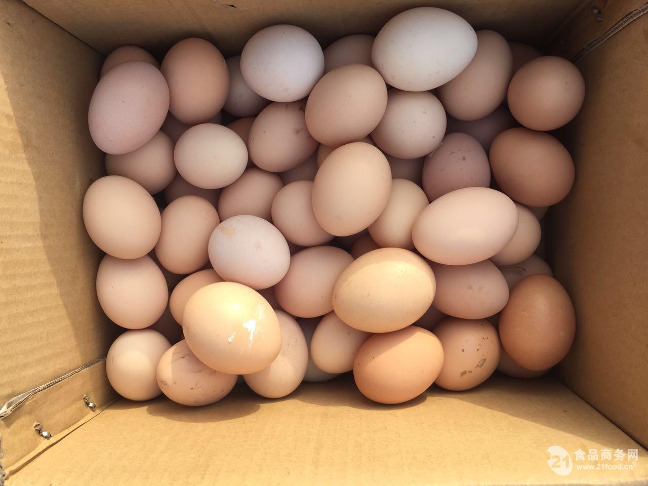 【中国风】美食摄影——家养山鸡蛋，绿壳鸡蛋拍摄_摄影师李不言-站酷ZCOOL