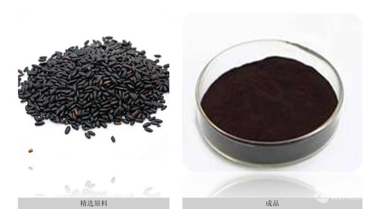 厂家供应黑米提取物、花青素_中国西安_植物提取物-食品商务网