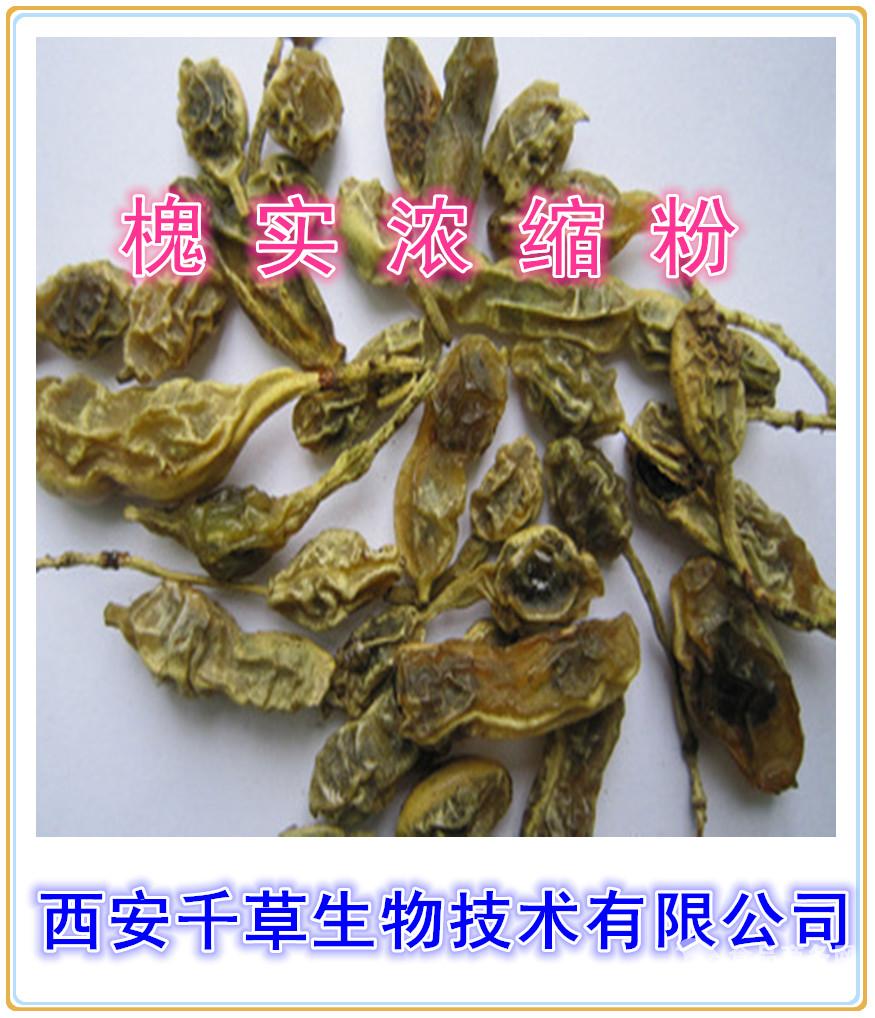 槐实提取物供应天然水溶提取物槐实浓缩粉