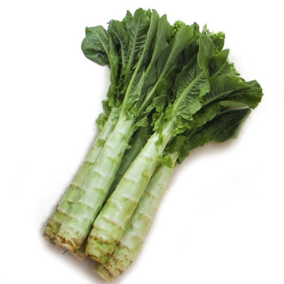 莴苣提取物