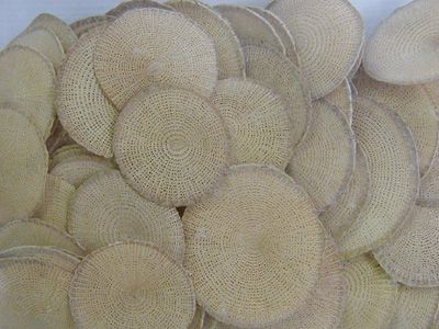 木通提取物201欢迎订购