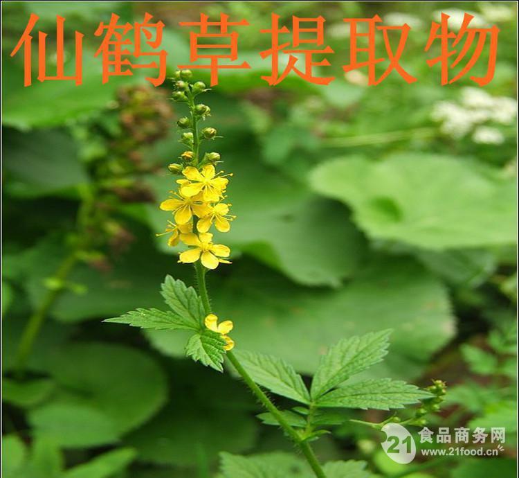 仙鹤草提取物