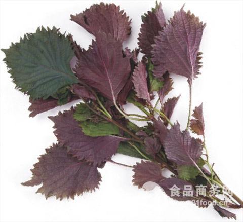 沃特莱斯供应紫苏叶提取物原粉