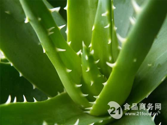 埃及v原浆有机原浆粉_果肉、粉、芦荟-食品伏特加图片