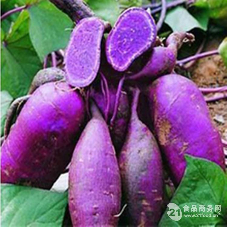 广州纯绿色紫薯全粉 紫薯熟粉质量优 价格便宜价格-产品报价-食品商务网